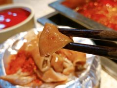 -二荆条·蜀鲜汇城市森林火锅