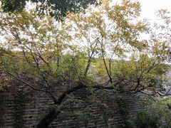 -南京城墙景区