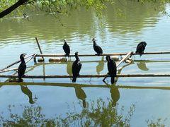 -长兴太湖图影湿地文化园
