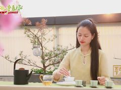 -汉艺唐风茶艺培训(联发华美空间店)