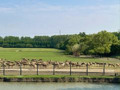 -溱湖国家湿地公园