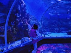 -顺德南宏海立方海洋公园