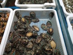 水产区-渔乐圈海鲜餐厅(群力金江路店)