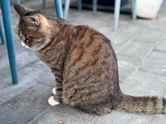 -九寨沟石锅鱼(沣峪口店)