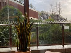 -咖啡厅自助餐厅(贵阳中天凯悦酒店)