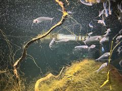 -太平洋海底世界