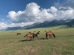 -新疆那拉提国家旅游度假区