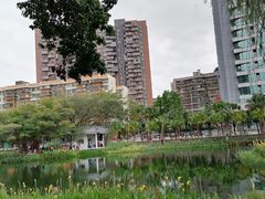 -四海公园(南山区)