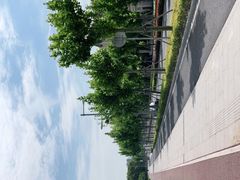 -上海山野camping·户外天幕烧烤·团建拓展营地
