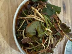 -食神又名厕所兔