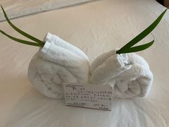 -三亚亚龙湾铂尔曼别墅度假酒店