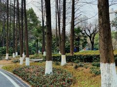 -苏州河梦清园环保主题公园