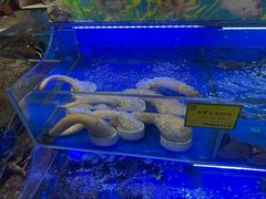 -新海渔港·胶东海鲜家常菜·家宴(奥体中心店)