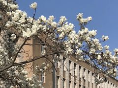 -大连理工大学(凌水校区)
