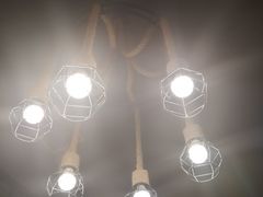 大堂-农夫大盘鸡(经八路总店)