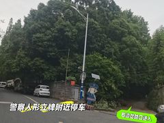 -东明山森林公园