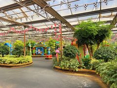 -南宫五洲植物乐园