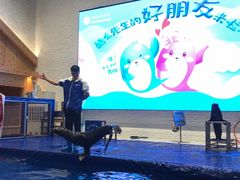 -Mr·Kuma酷么先生雪之乐园
