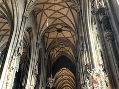 -斯蒂芬主教座堂(Stephansdom)