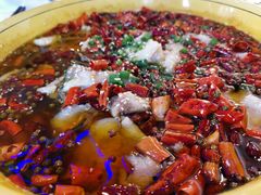 府外飘香沸腾鱼-娄三少·老北京春饼烤鸭家常菜(富力又一城店)