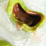 芝士豆乳里浓浓的芝士味儿
