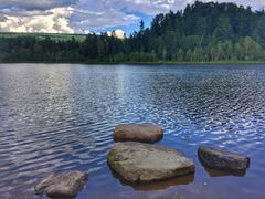 -五营红松林海景区