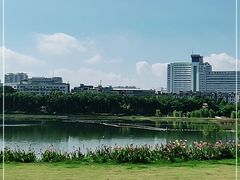 -南宁南湖公园