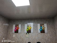 -煲来饱去冷水鱼