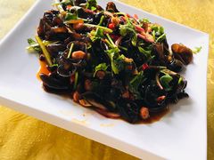 凉拌木耳-廉江鹅饭店