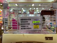 -宠物兔专门店(天丰利市场店)