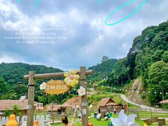 -龙岩森林水乡景区