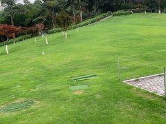 -龙头寺公园