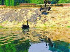 -上海辰山植物园