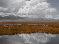 -花湖生态旅游区