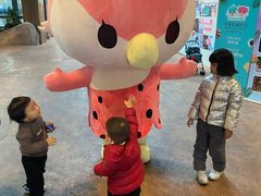 -杭州开元森泊度假乐园