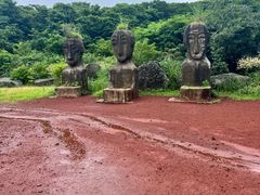-济州森林小火车生态公园