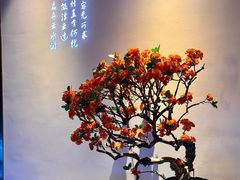 -金凤凰健康养生·足疗·推拿·SPA(横岗店)