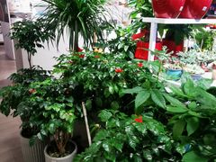 -大润发(南湖店)