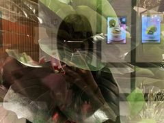 -海底捞火锅(龙湖三千集店)