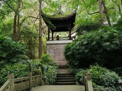 -忠山公园