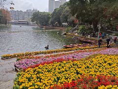 -荔湾湖公园