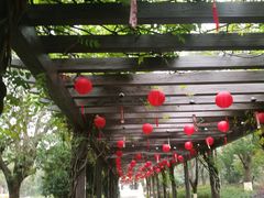 -白马涧龙池景区
