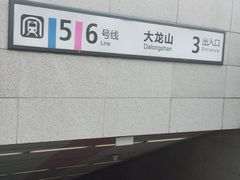 -大龙山(地铁站)