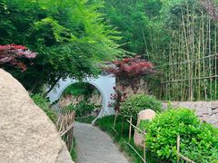 -竹子庵公园