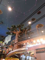 -卡通尼·Safari非洲探索乐园·生日会(金桥国际商业广场店)