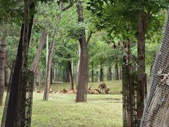 -秦皇岛野生动物园