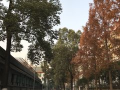 -四川大学(华西校区)