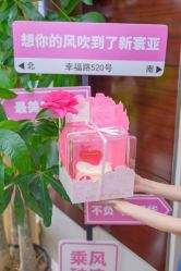 -新寰亚月子会所(金鸡湖凯宾店)