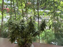 -小西家作•精致蛋糕(富力爱丁堡店)