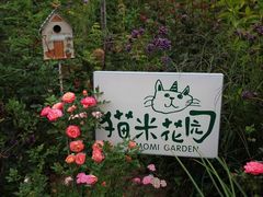 -猫米花园
